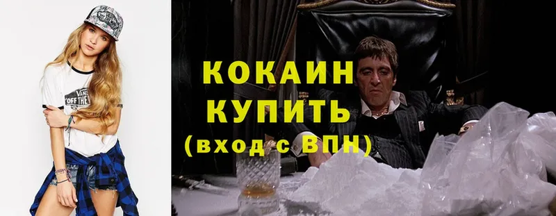 где продают   Кемь  Cocaine FishScale 